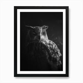 Winking Owl Black And White Art Print