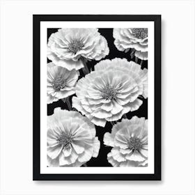Carnations B&W Pencil 9 Flower Art Print