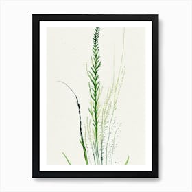 Horsetail Herb Minimalist Watercolour 3 Art Print