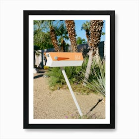 Palm Springs Mailbox on Film Art Print