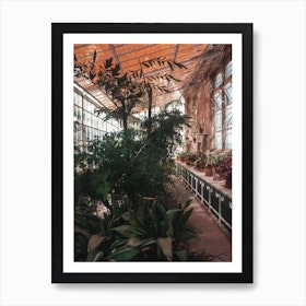 Palm Greenhouse Art Print