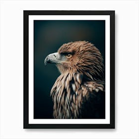 Golden eagle Art Print