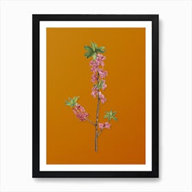 Vintage February Daphne Flowers Botanical on Sunset Orange Art Print