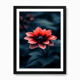 Red Dahlia Flower 1 Art Print