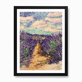 Lavender Field Art Print