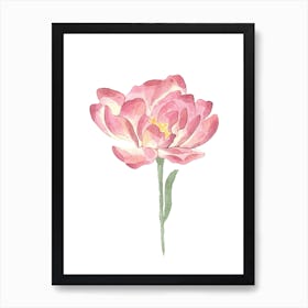 Pink Petals Watercolour Rose Art Print