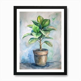 Ficus Art Print