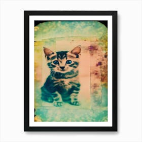 Kitten Polaroid Art Print