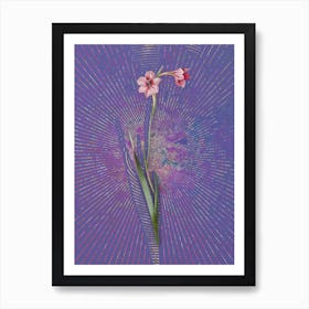 Vintage Sword Lily Botanical Illustration on Veri Peri n.0067 Art Print