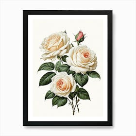 Vintage Galleria Style Rose Art Painting 3 Art Print