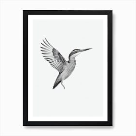 Green Heron B&W Pencil Drawing 1 Bird Art Print