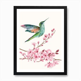 Hummingbird On Cherry Blossom Art Print