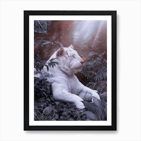 White Lion And Orange Butterfly Wild Life Poster