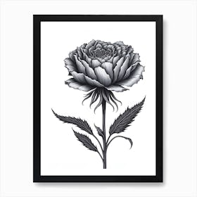 A Carnation In Black White Line Art Vertical Composition 37 Art Print