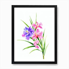 Gladioli 3 Watercolour Flower Art Print