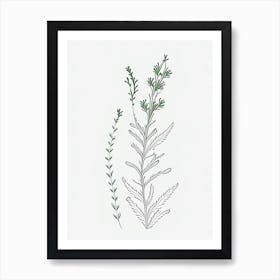 Eyebright Herb William Morris Inspired Line Drawing 2 Art Print