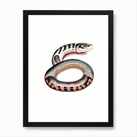 Speckled Kingsnake 1 Vintage Art Print