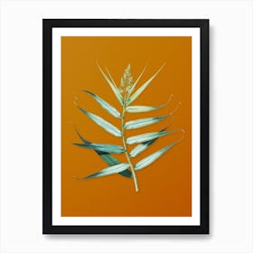 Vintage Bush Cane Botanical on Sunset Orange n.0947 Art Print