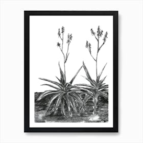 Charcoal Aloes Art Print