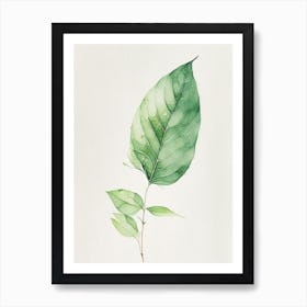 Tulsi Leaf Minimalist Watercolour 2 Art Print