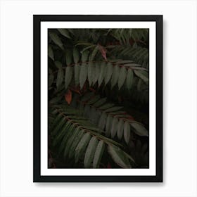 Dark Green Tropical Foliage Vertical Art Print