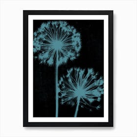 Black teal alliums Art Print