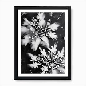 Delicate, Snowflakes, Black & White 4 Art Print