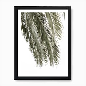 Palm Tree 2 Art Print