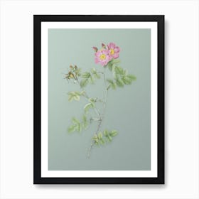 Vintage Pink Sweetbriar Roses Botanical Art on Mint Green n.0017 Art Print