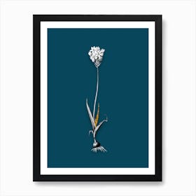 Vintage Chincherinchee Black and White Gold Leaf Floral Art on Teal Blue n.0767 Art Print