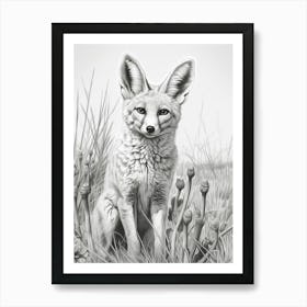 Bengal Fox In A Field Pencil Drawing 1 Art Print