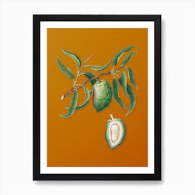 Vintage Almond Botanical on Sunset Orange n.0270 Art Print