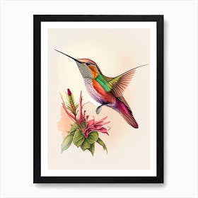 Allen S Hummingbird Retro Drawing Art Print