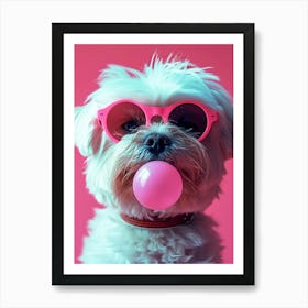 Maltese Dog Chewing Gum Art Print