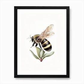 Solitary Bee 4 Vintage Art Print