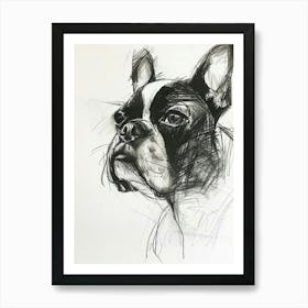 Boston Terrier Dog Charcoal Line 4 Art Print