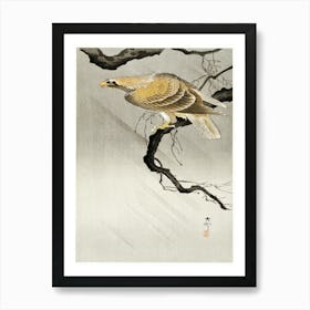 Eagle On Branch (1900 1910), Ohara Koson Art Print