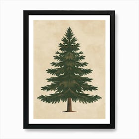 Douglas Fir Tree Minimal Japandi Illustration 4 Art Print