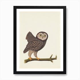 Owl Illustration Bird Art Print