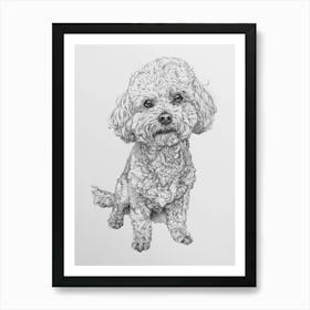 Bichon Frise Dog Line Drawing Sketch 4 Art Print