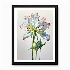 Lily Of The Valley 26 Art Print