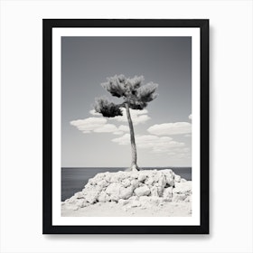 Capri Italy Black And White Canvas Artwork by Naomi Davies