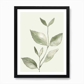 A Green Plant Art Print