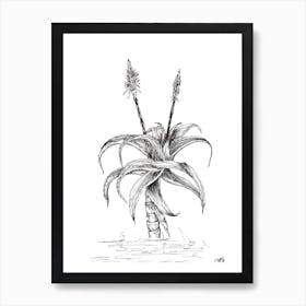 Black and White Aloe with Two Flowers Art Print