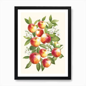 Apples Art Print