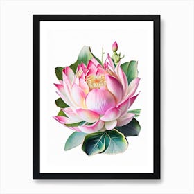 Pink Lotus Decoupage 3 Art Print