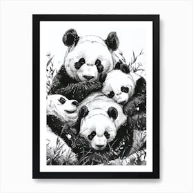 Giant Panda Family Sleeping Ink Illustration 2 Art Print