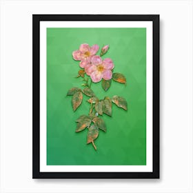Vintage Tea Scented Roses Bloom Botanical Art on Classic Green Art Print
