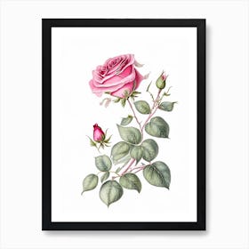 Rose Floral Quentin Blake Inspired Illustration 1 Flower Art Print