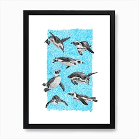 African Penguins  Art Print